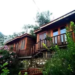 Palmira