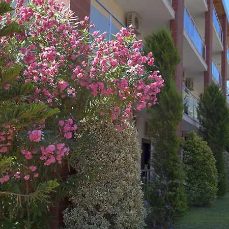 Palmira Hotel