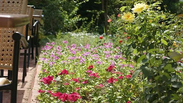 Palmira אדראסן