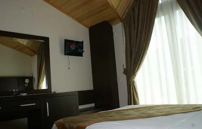 Palmira אדראסן