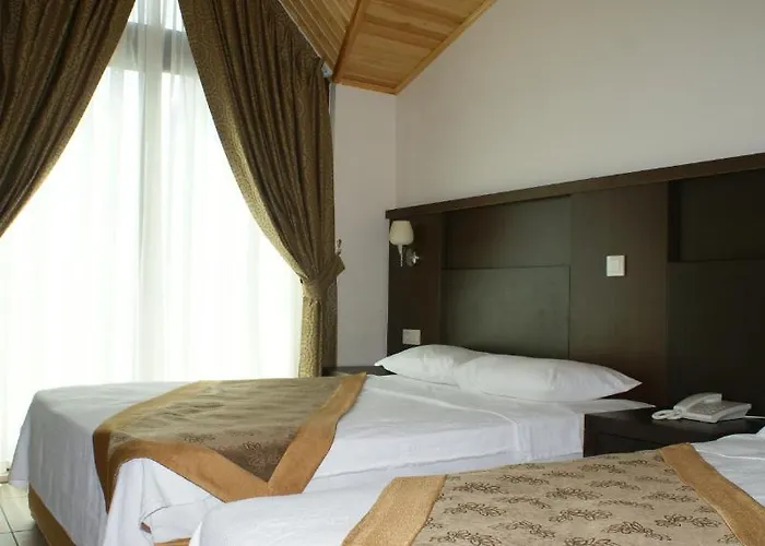 Palmira 3* אדראסן